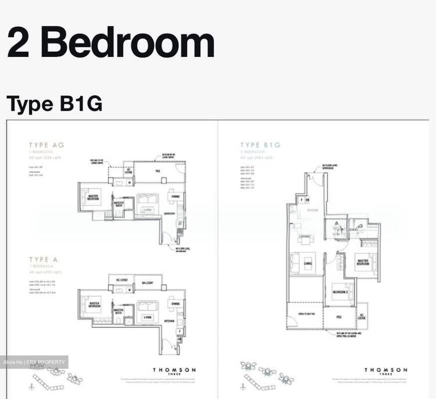 Thomson Three (D20), Apartment #593650061